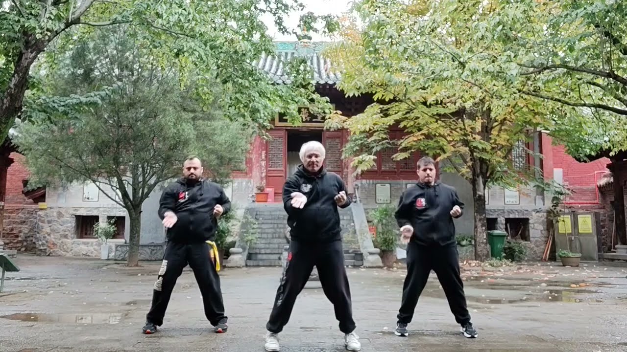 Shim lim Tao 3 generazioni di Wing Chun nel tempio Shaolin (Henan Cina) e i turisti