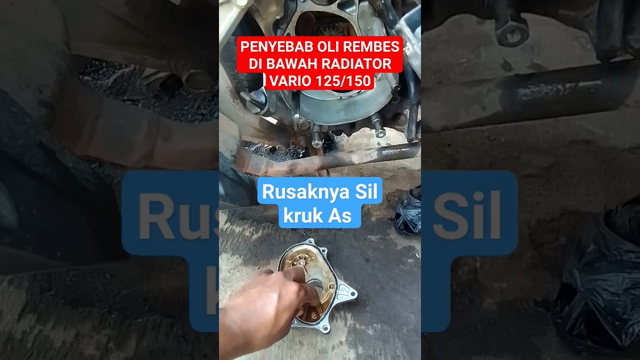 PENYEBABAB OLI REMBES DI BAWAH/BELAKANG RADITOR VARIO 125/150