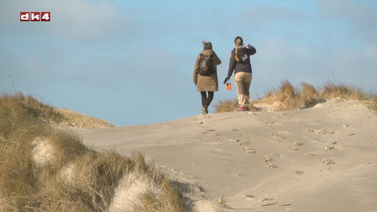 Til fods i naturen ... Vildmarken i Thy