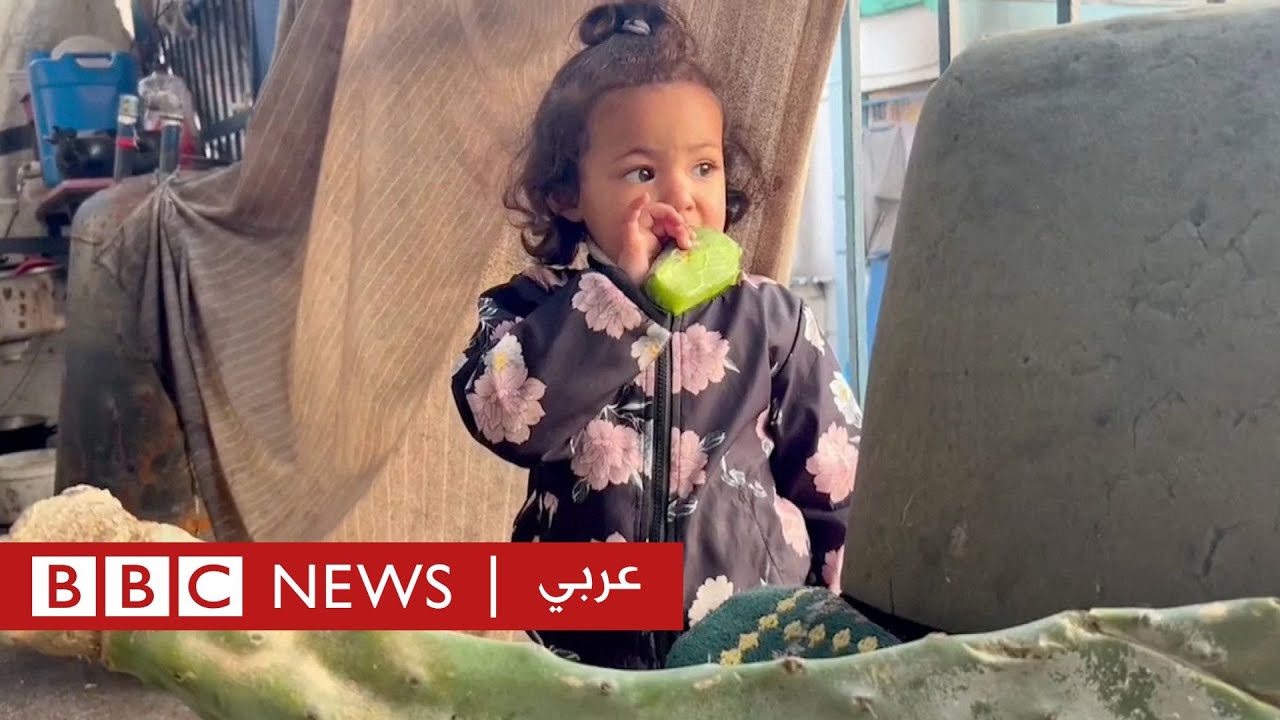 كيف يعيش سكان غزة وسط الفقر والجوع؟ | بي بي سي نيوز عربي