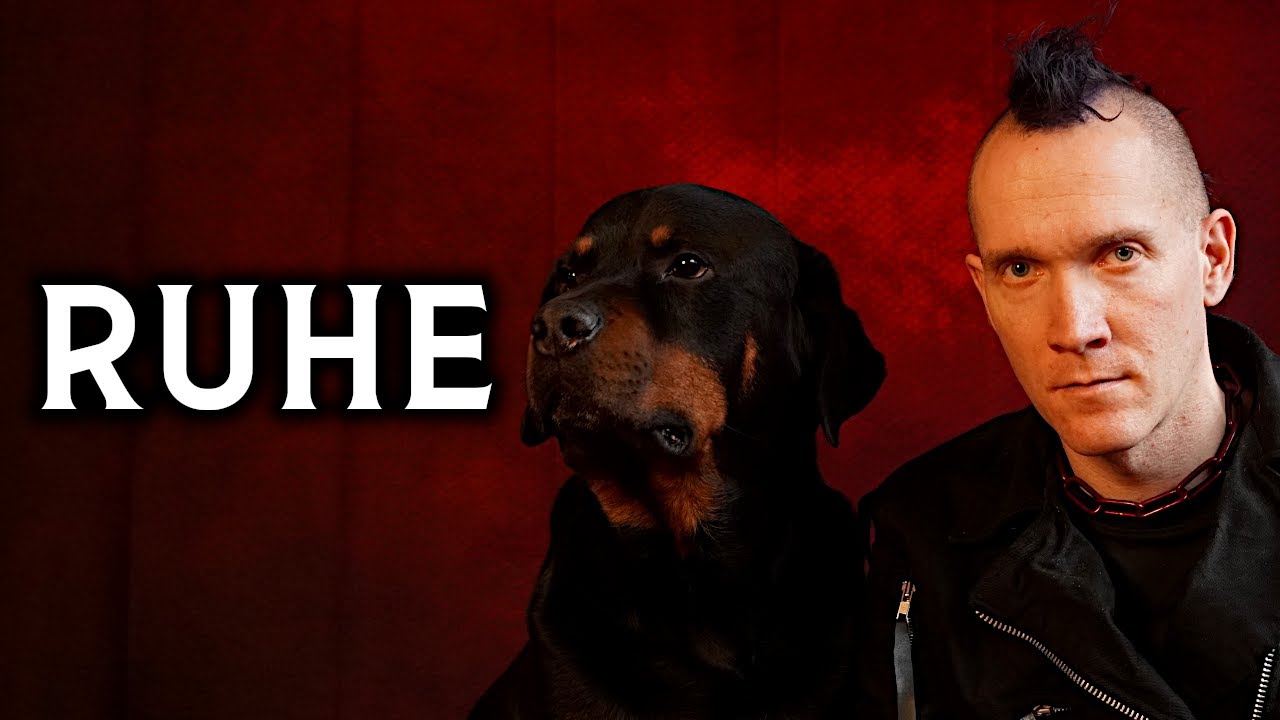 Das kann man Hunden nicht antrainieren.