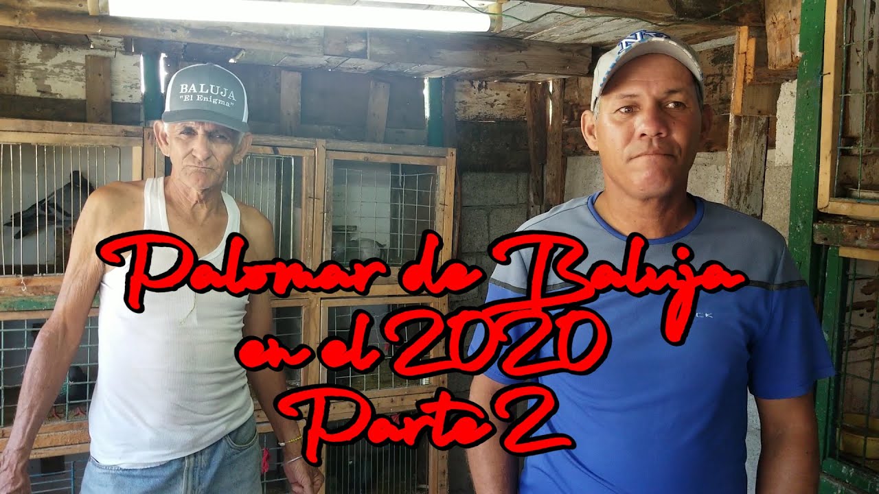 Palomar de Baluja  en el 2020.  Parte 2