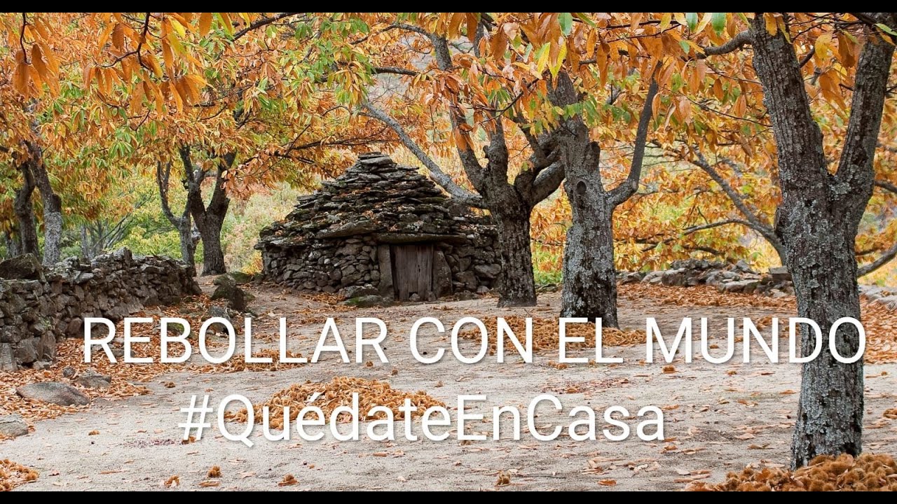 Rebollar, con el mundo.