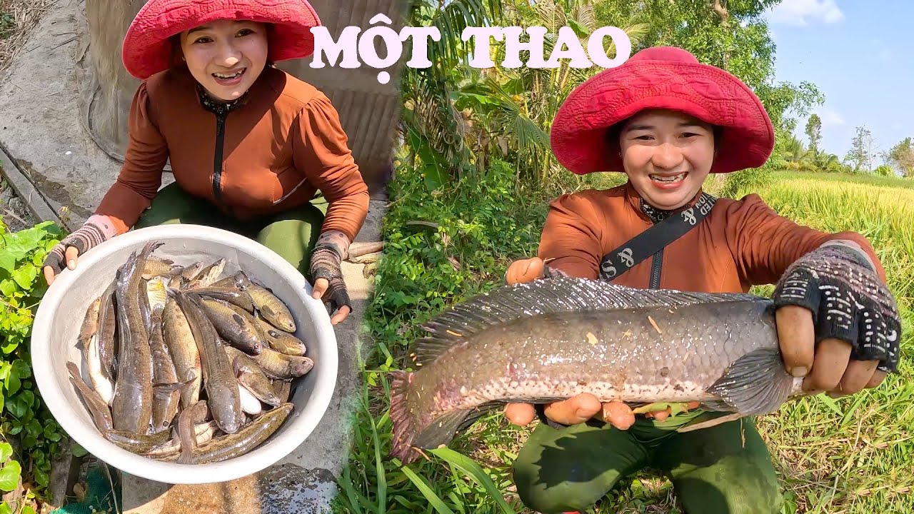 Đoạn Kênh Này CÁ Rất Nhiều, CÁ Nhiều Đến Nổi Phải Đem Về Bán l CSBR l 200