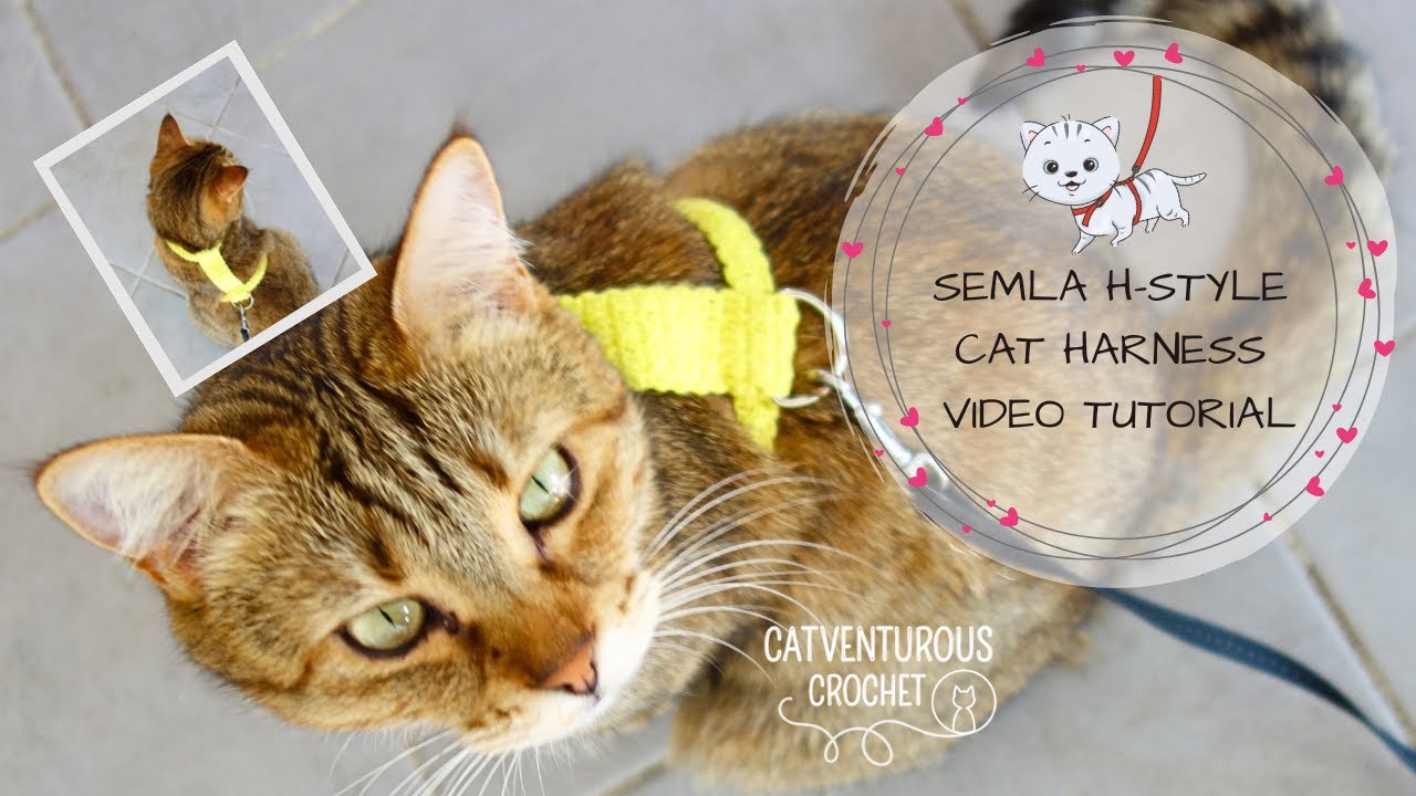 Semla H-Style Cat Harness - Catventurous Crochet