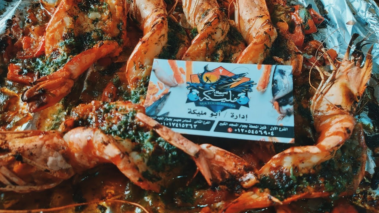 افضل تشكيلة اسماك بحرية من داخل مينا البرلس برعاية 🦞اسماك مليكة 🦞