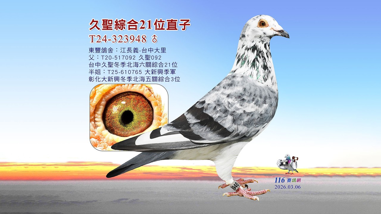 【江長義】T24-323948