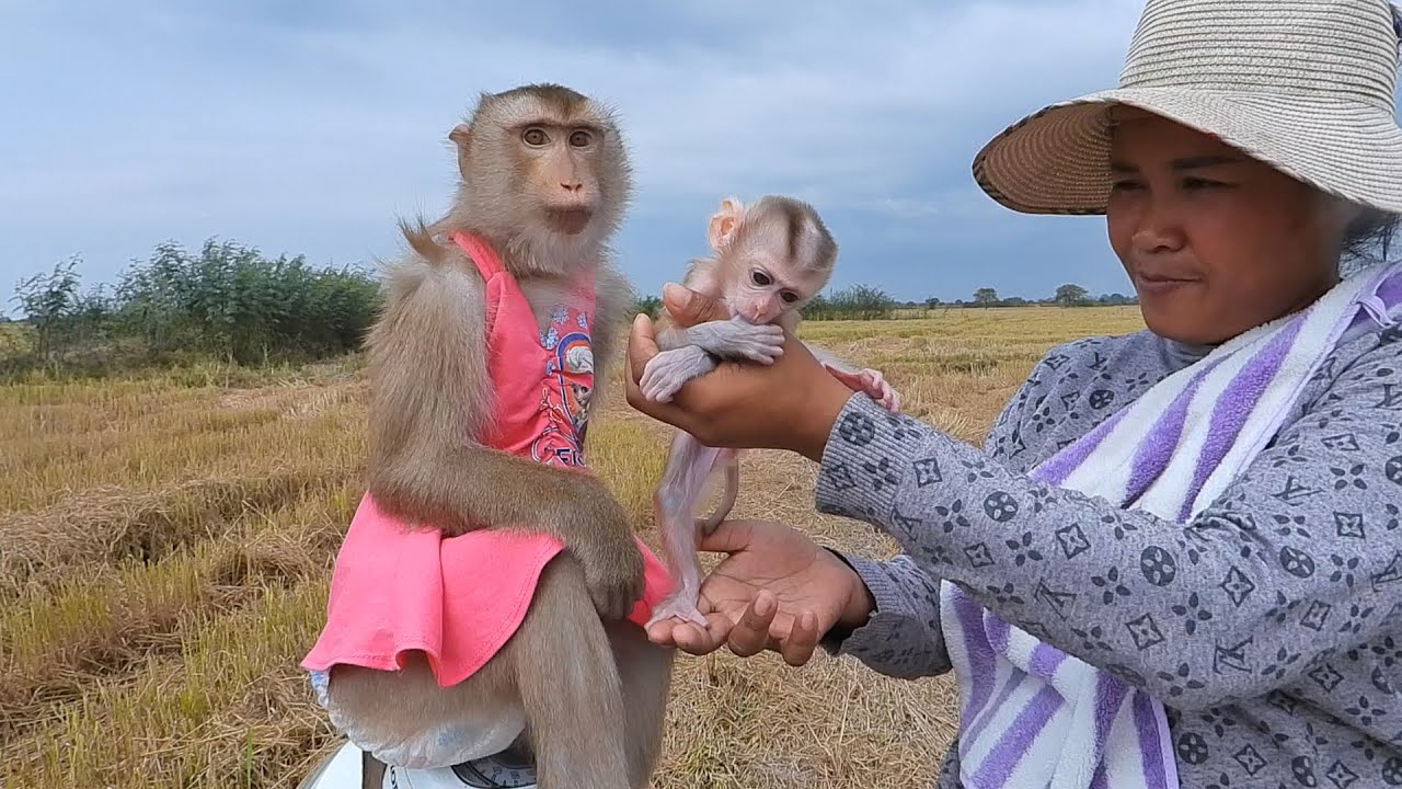 Mommy Luna With Daughter Valen Relaxing At The Rice Field