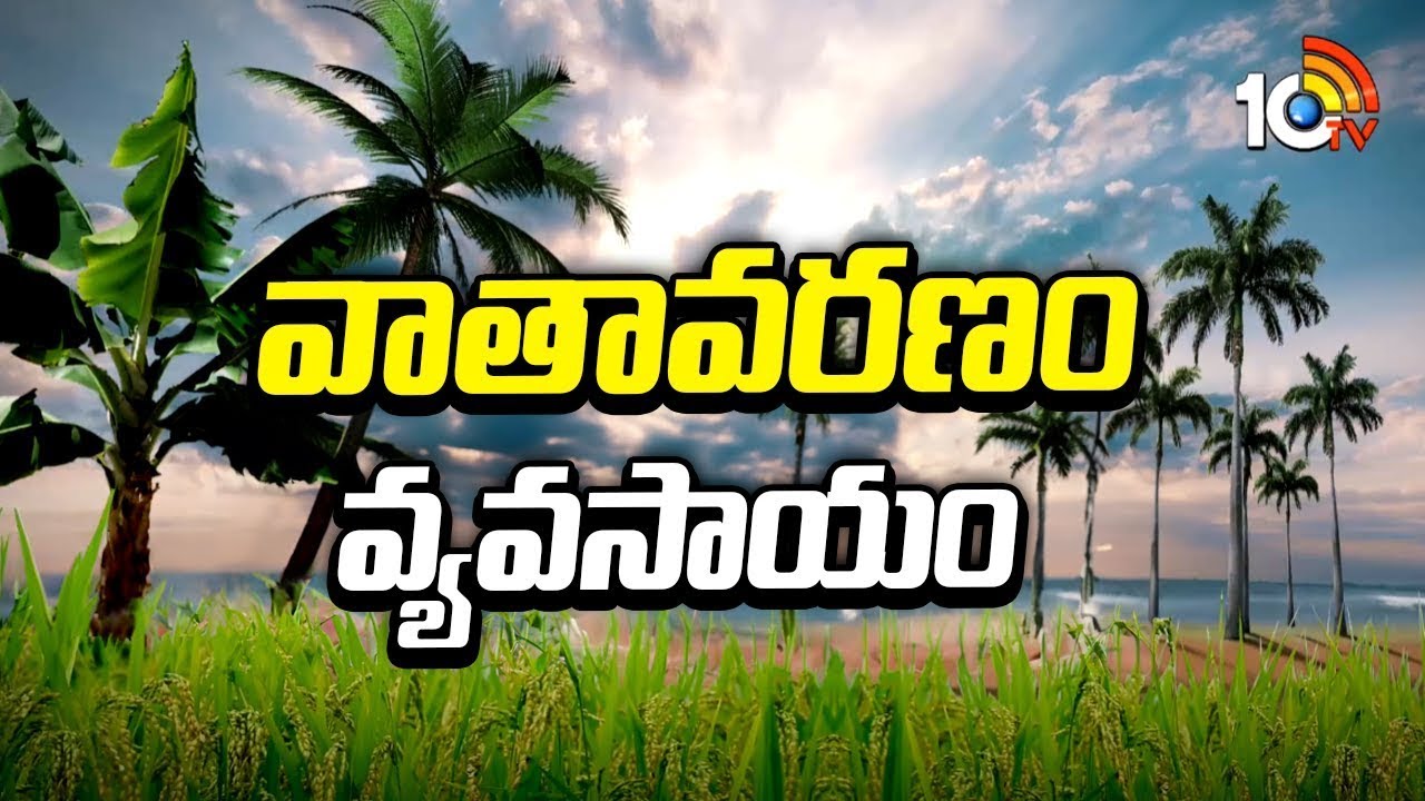 వాతావరణం-వ్యవసాయం | Weather Conditions | Weather Forcast | Matti Manishi | 10TV News
