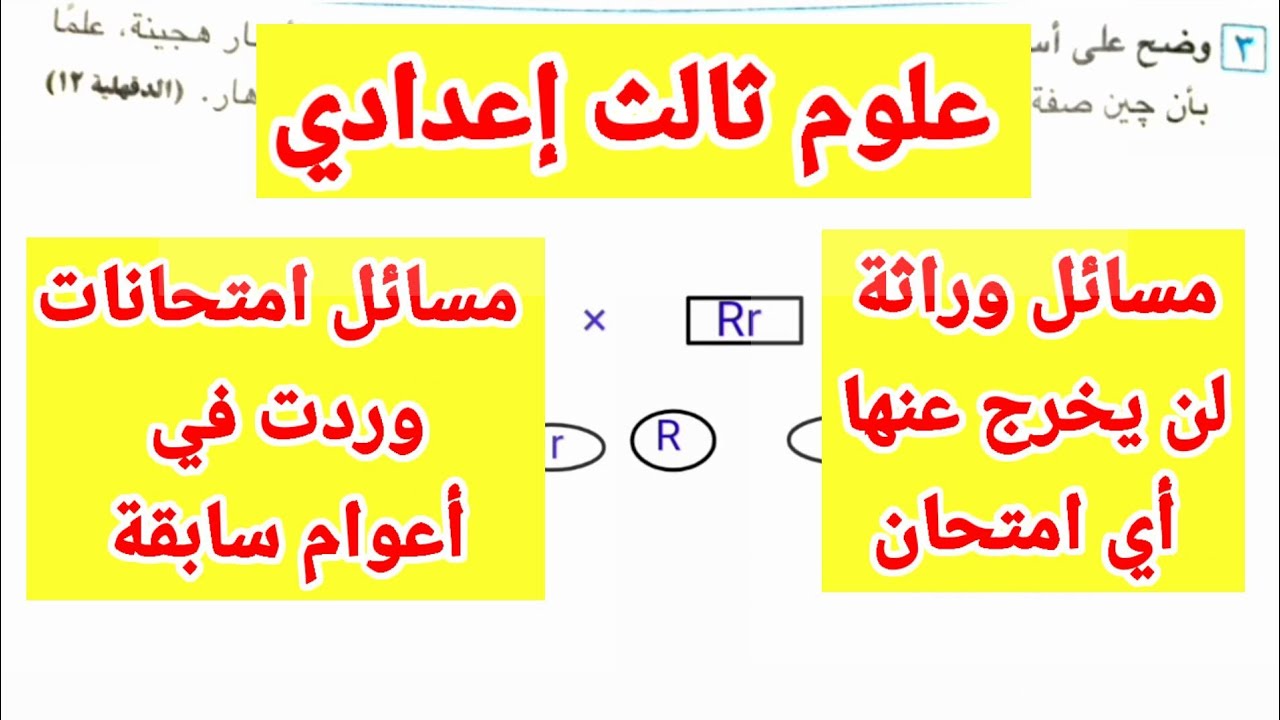 مسائل الوراثة/جميع الأفكار وردت في الامتحانات/علوم للصف الثالث الإعدادي/ترم ثاني ٢٠٢٤م