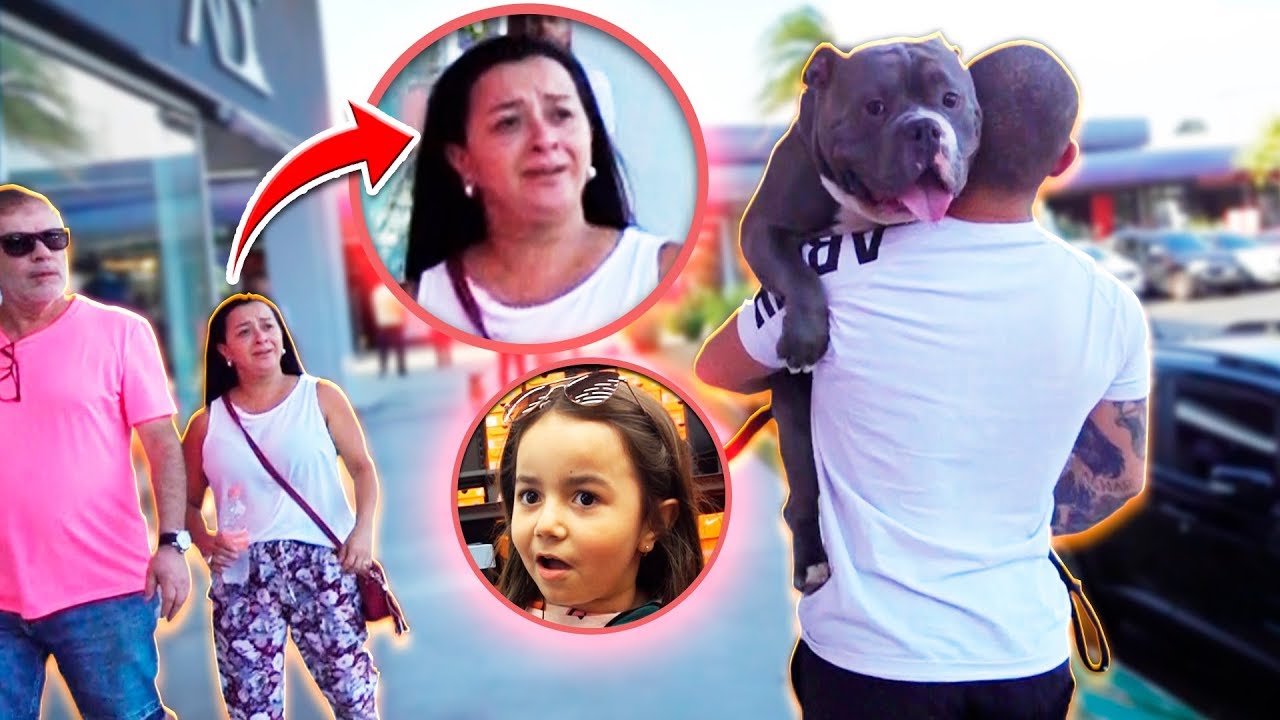 REAÇÃO DAS PESSOAS AO VEREM MEU CACHORRO NO SHOPPING 3