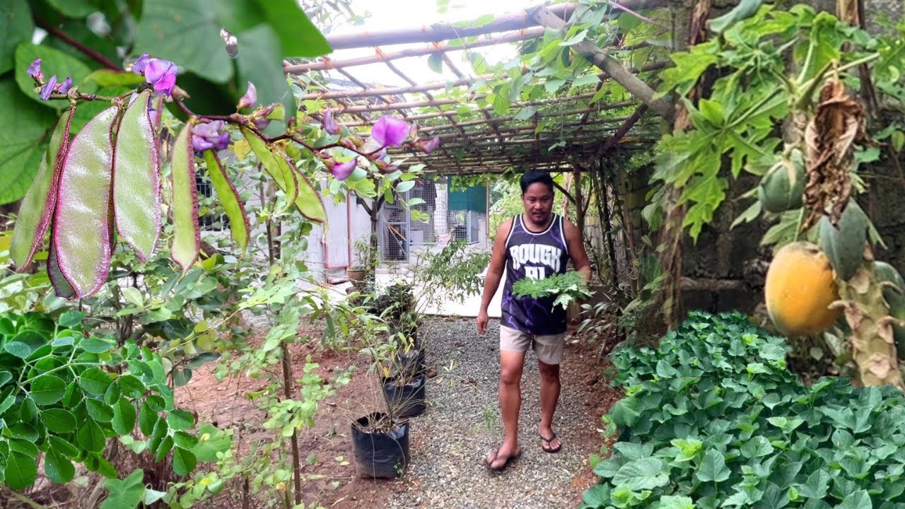 HARVEST NG GULAY! PALENGKE! CRISPY PRITONG GALUNGGONG! DINENGDENG! BUHAY PROBINSYA! FILIPINO FOOD.