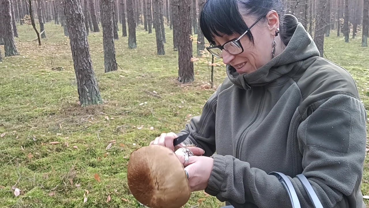 Zakończenie podgrzybków!