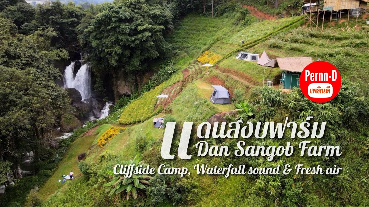 แคมป์ริมผา - เสียงน้ำตก & อากาศสดชื่น : แดนสงบฟาร์ม