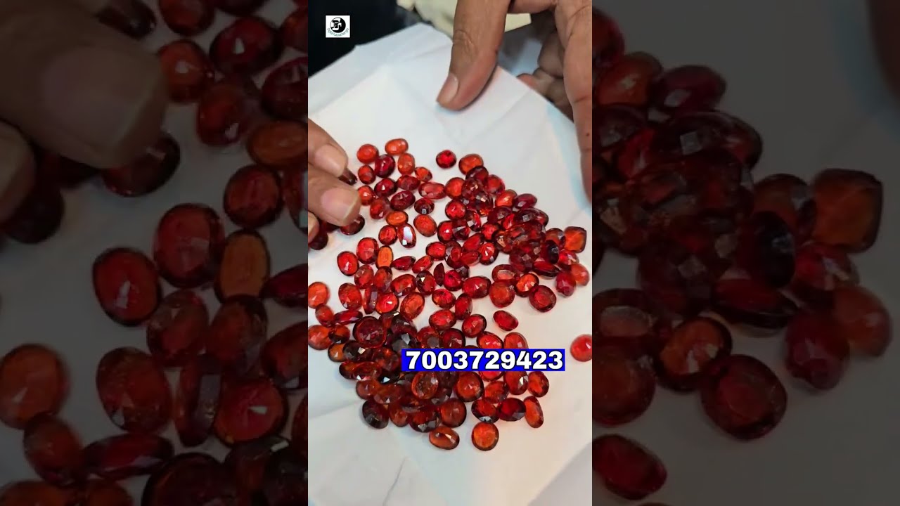 কলকাতার বেস্ট সন্ধান কলকাতা জাকারিয়া স্ট্রীটের আসল রত্নের হোলসেল মার্কেট | ১পিস হোলসেল দামে