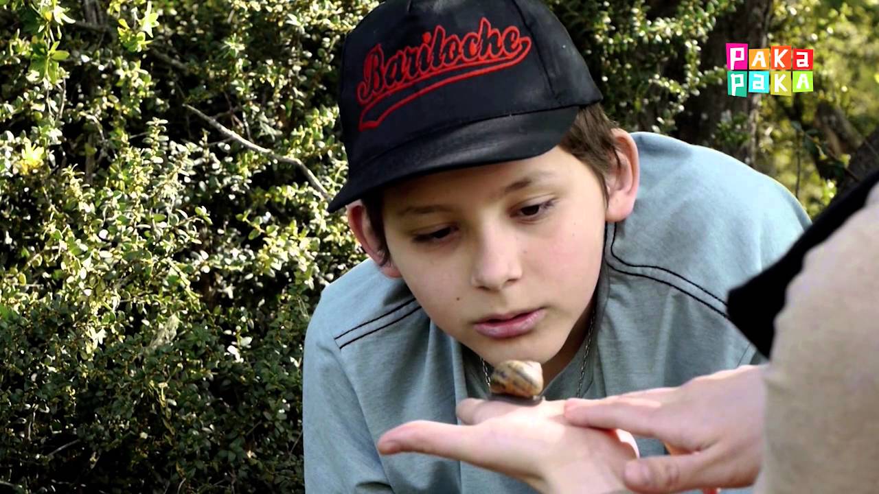1,2,3 ¡A descubrir! - Bichos - Canal Pakapaka
