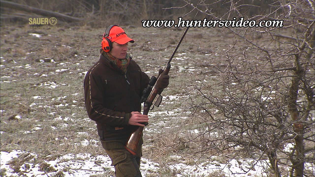 SAUER 202 - Видео охотников