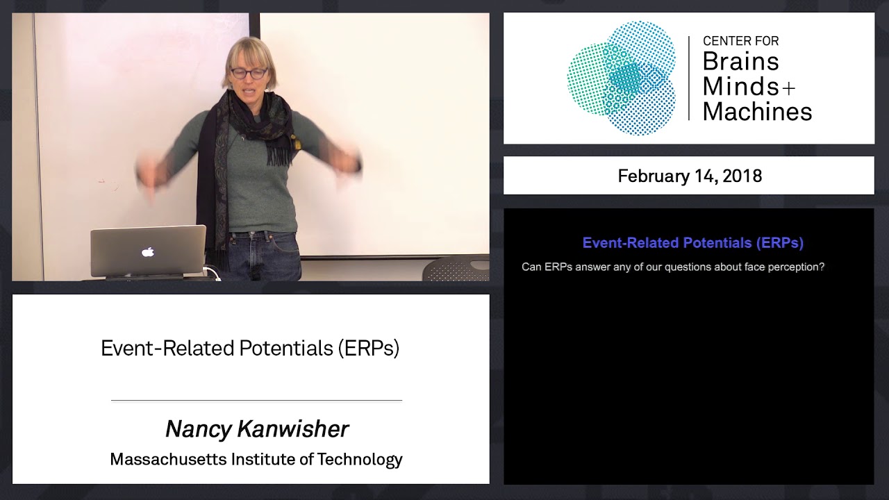 2.9 - Event-Related Potentials (ERPs)