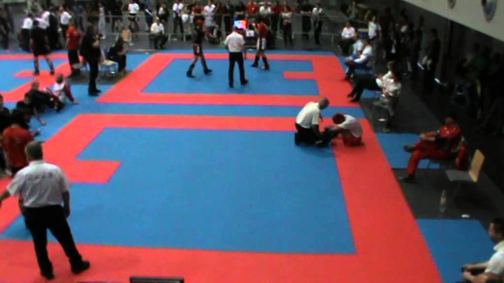 Georgian Cimpeanu Austrian Classics 2015 Kickboxing Team Lanzilao