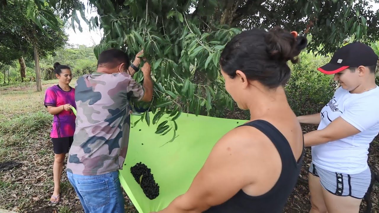 INDO TIRAR JAMELÃO COM MINHA FAMÍLIA