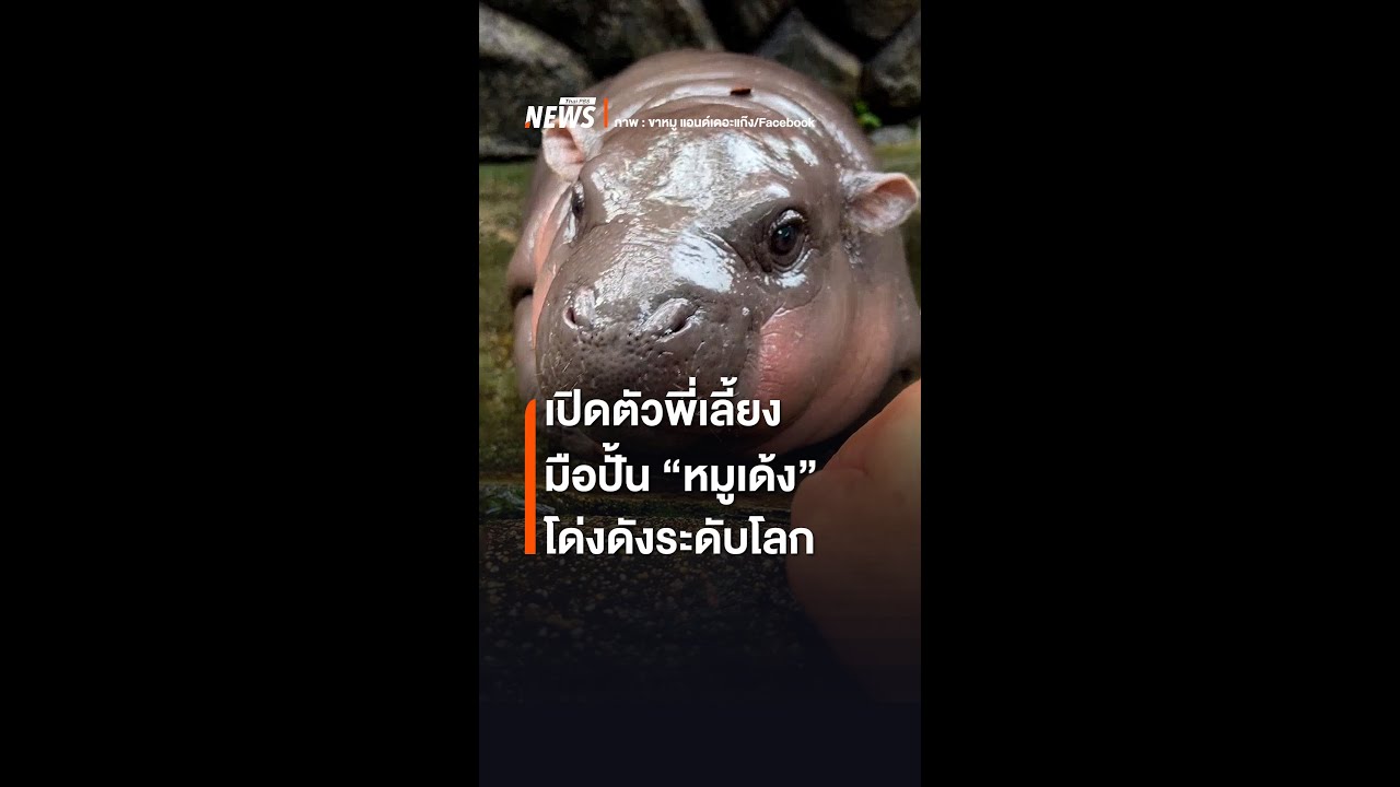 เปิดตัวพี่เลี้ยงมือปั้น 