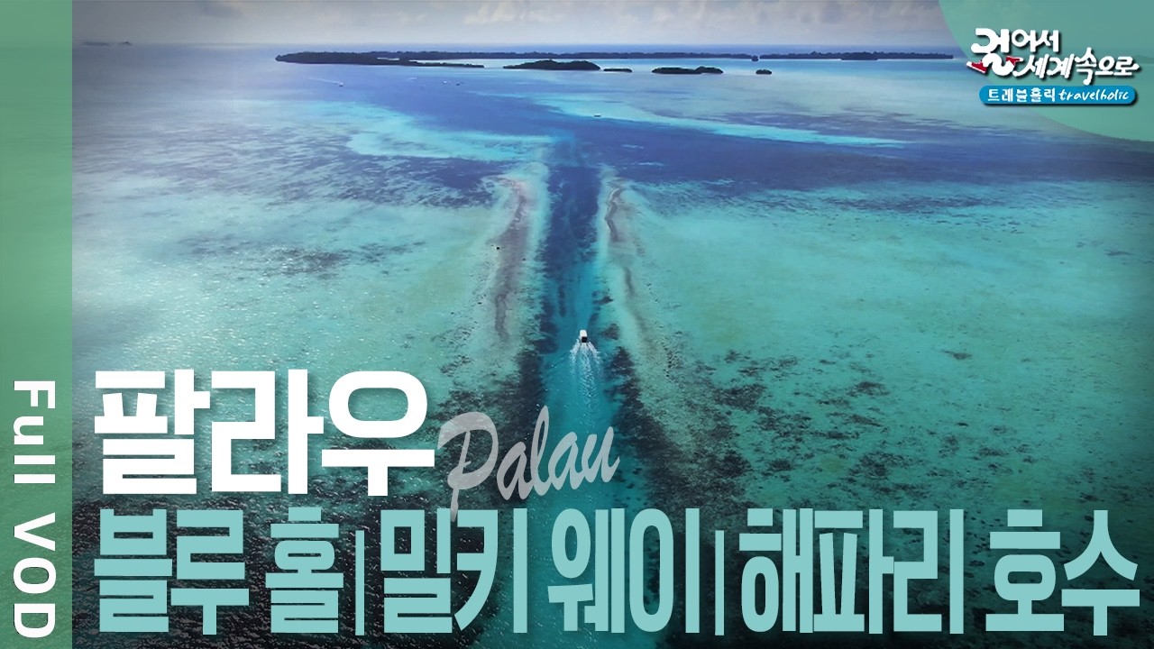 ✈️ 신들의 정원, 팔라우 여행! 다이버의 성지, 블루 홀. 세븐티 아일랜드. 섬 속에 숨겨진 신비, 해파리 호수 | 걸어서 세계속으로 트래블홀릭 | KBS 20240720 방송