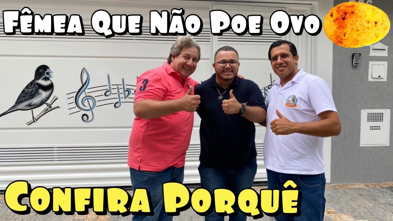 PORQUE A FÊMEA NÃO BOTA OVO