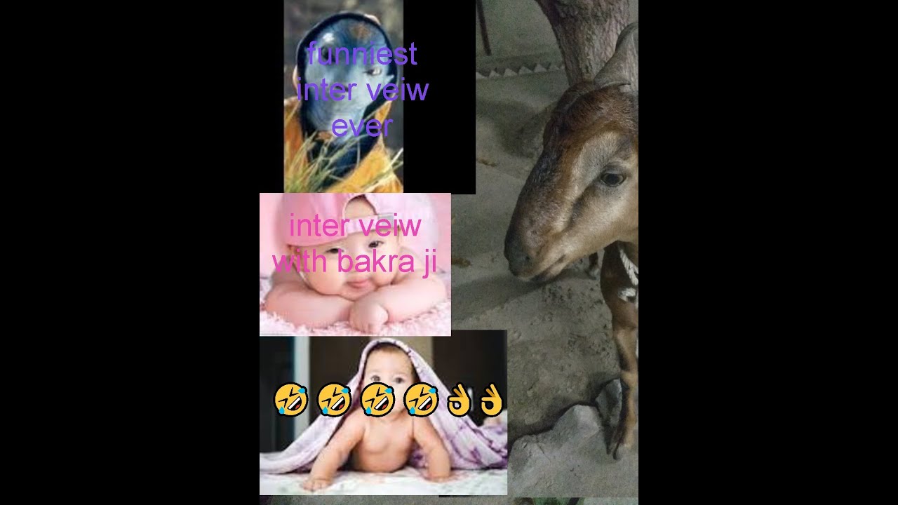 eid special video/funniest video in whole world