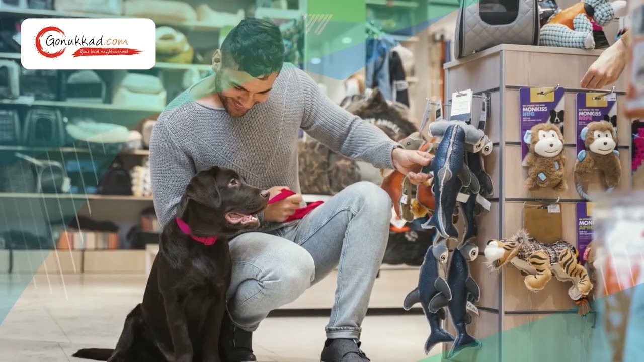 King Pet Clinic | Best Pet Clinic in Gurgaon | Top Veterinary Clinic in Gurgaon | Vet Clinic Gurgaon