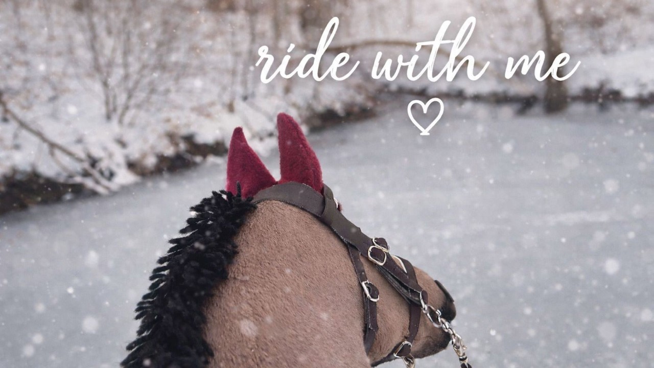 HOBBY HORSE RIDING❄️🐴
