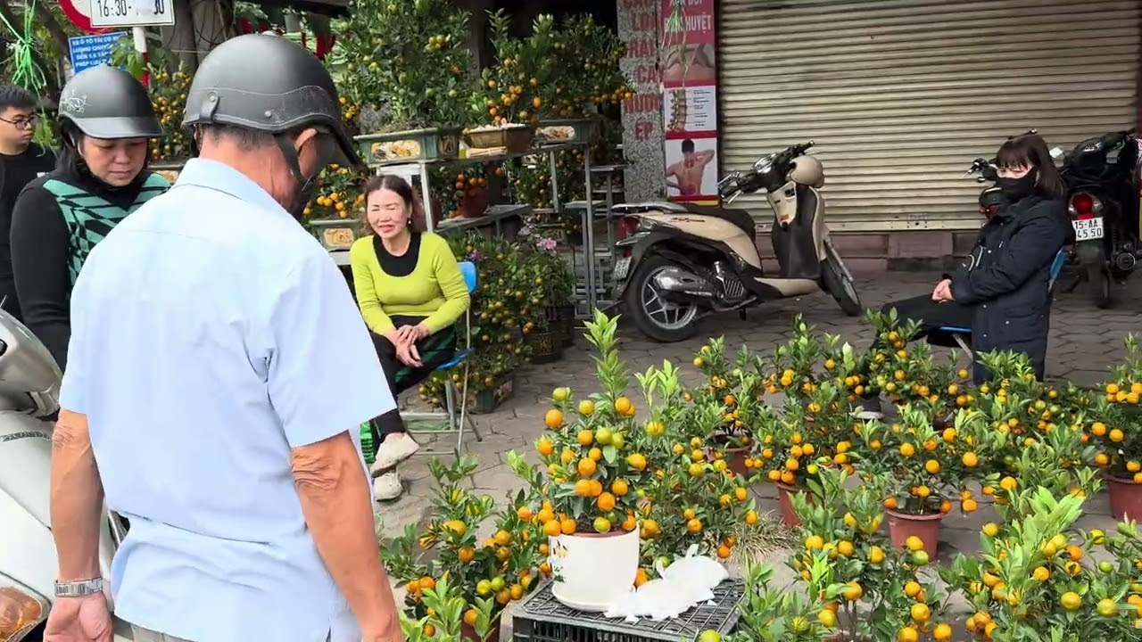 Beautiful Roads of Hai Phong, Viet Nam 🇻🇳 | Hai Phong City Drive 4K ngày 13 tháng 2, 2026