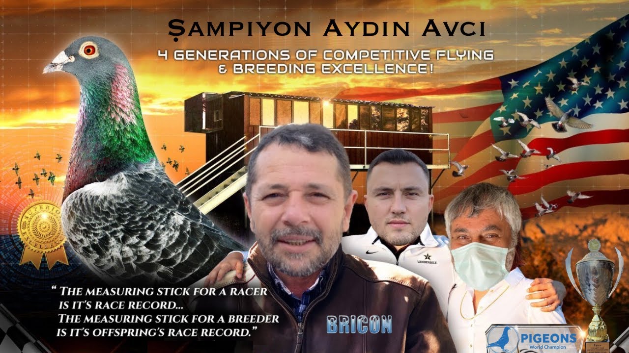 Aydın Avcı Yarış Postası Kümesi Sürpriz Ziyaret (Sahurculara Özel)