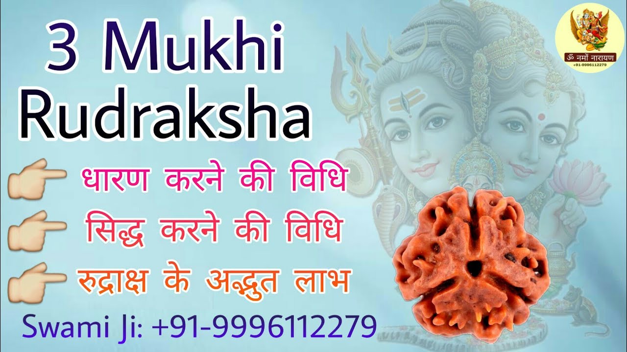 3 mukhi rudraksha benefits ||तीन रुद्राक्ष के लाभ || how to use 3 mukhi rudraksha