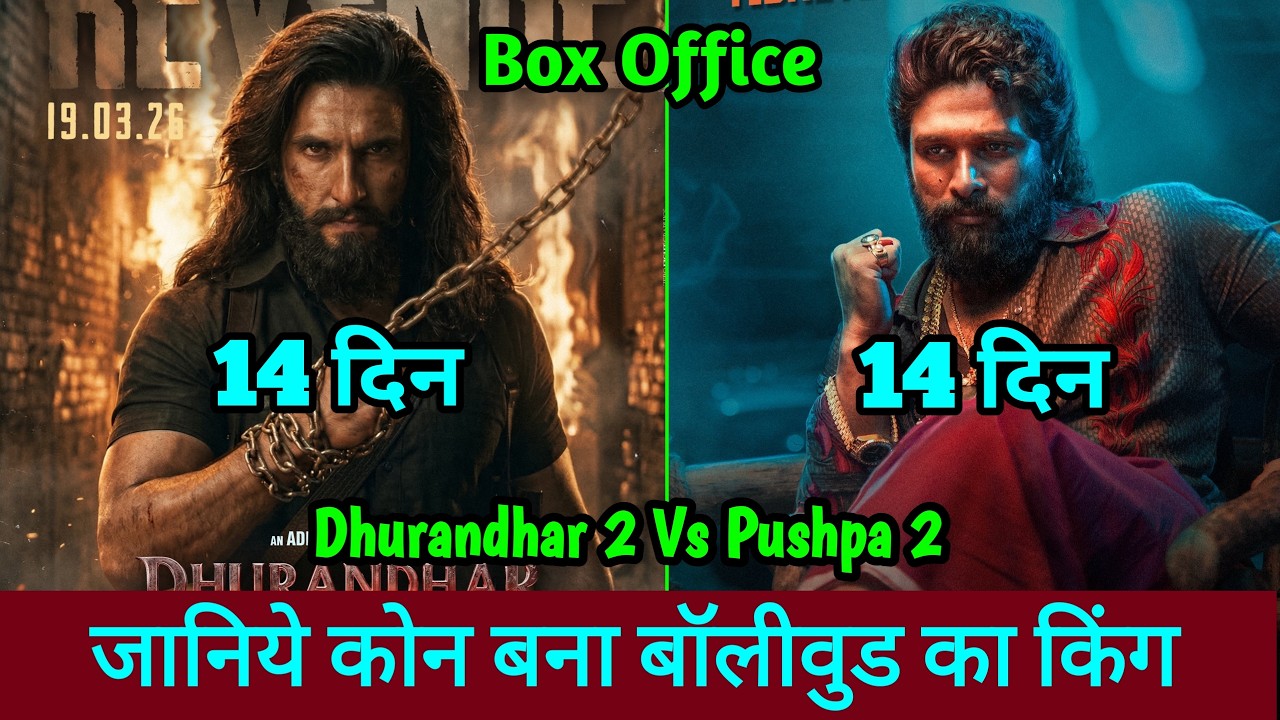 Dhurandhar 2 Vs Pushpa 2 Box Office Collection 14 Days Worldwide Collection, Ranveer Singh