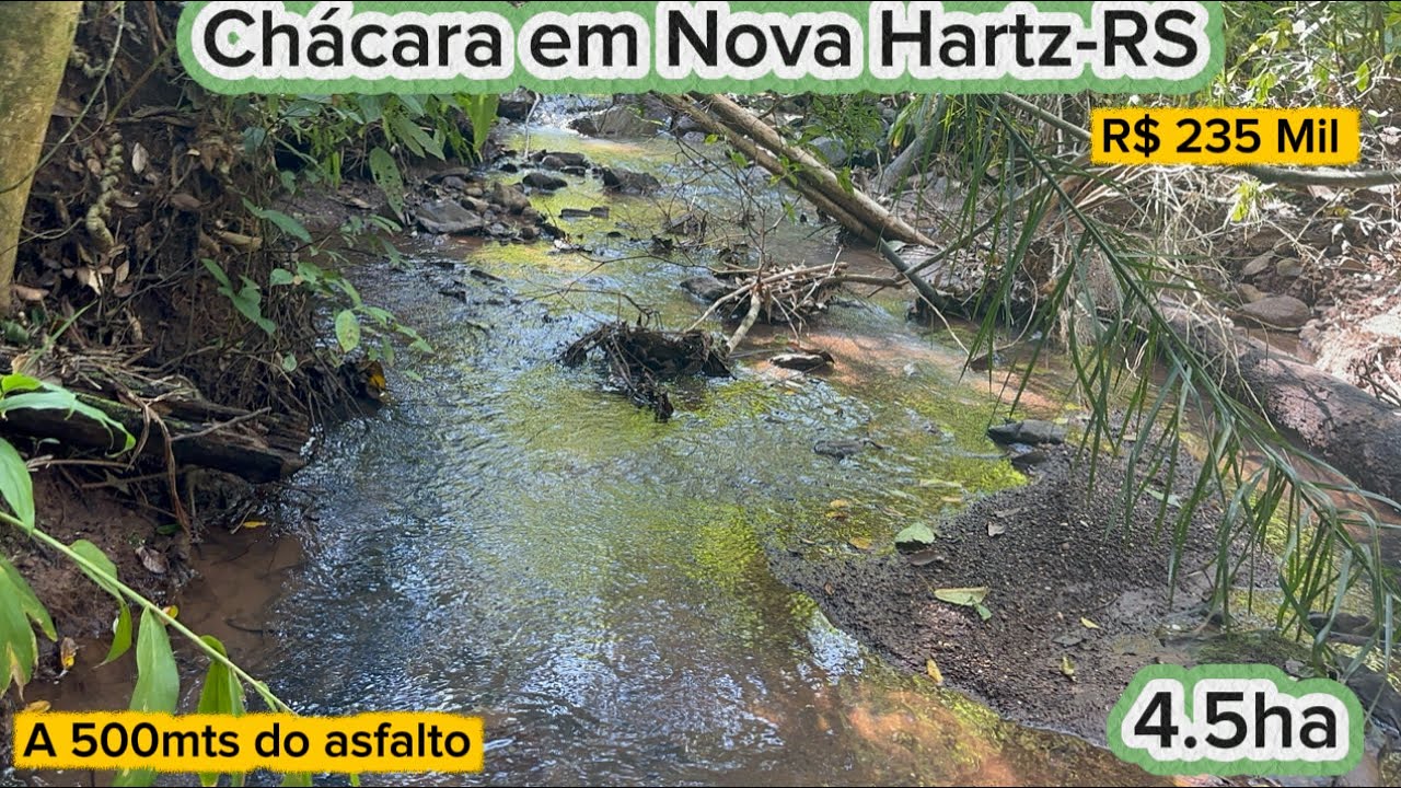  Chácara de 4.5ha em Nova Hartz-RS