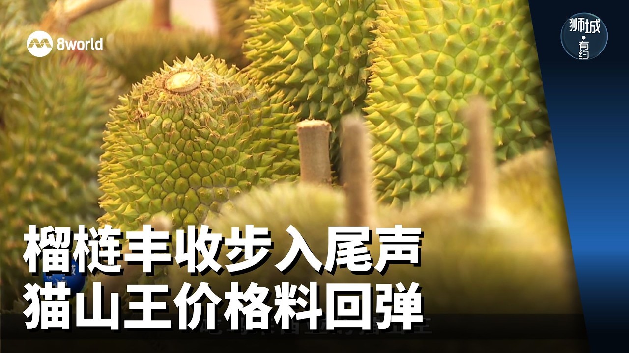 狮城有约 | 榴梿摔一下更好吃？种子和果皮也能吃！
