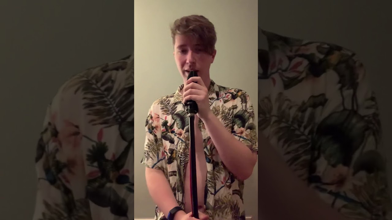 DESGUSTANG but it’s performed by an Indie Band