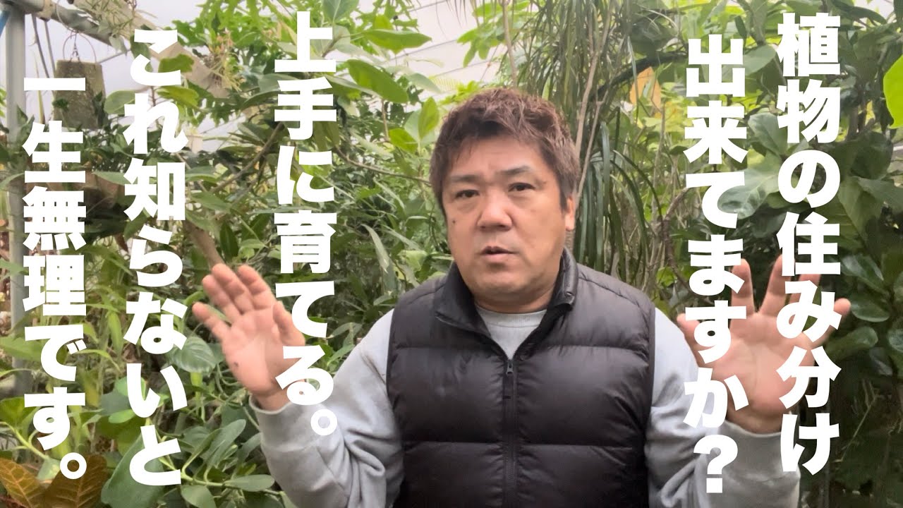 【失敗を繰り返す原因】植物の住み分け出来てますか？これ知らないと一生無理です。