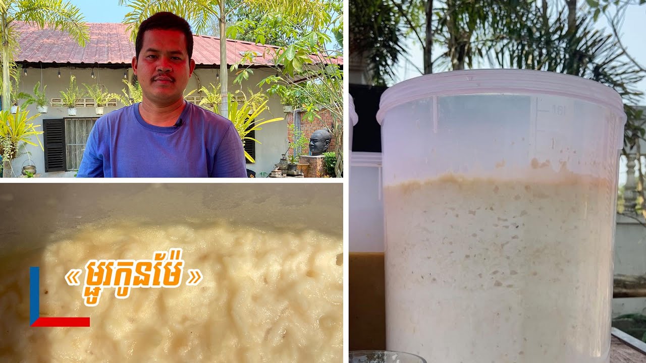 «ម្ជូរកូនម៉ែ» គ្រឿងផ្សំម្ហូបមានរសជាតិជូរឈ្ងុយ អាចយកធ្វើម្ហូបច្រើនប្រភេទ