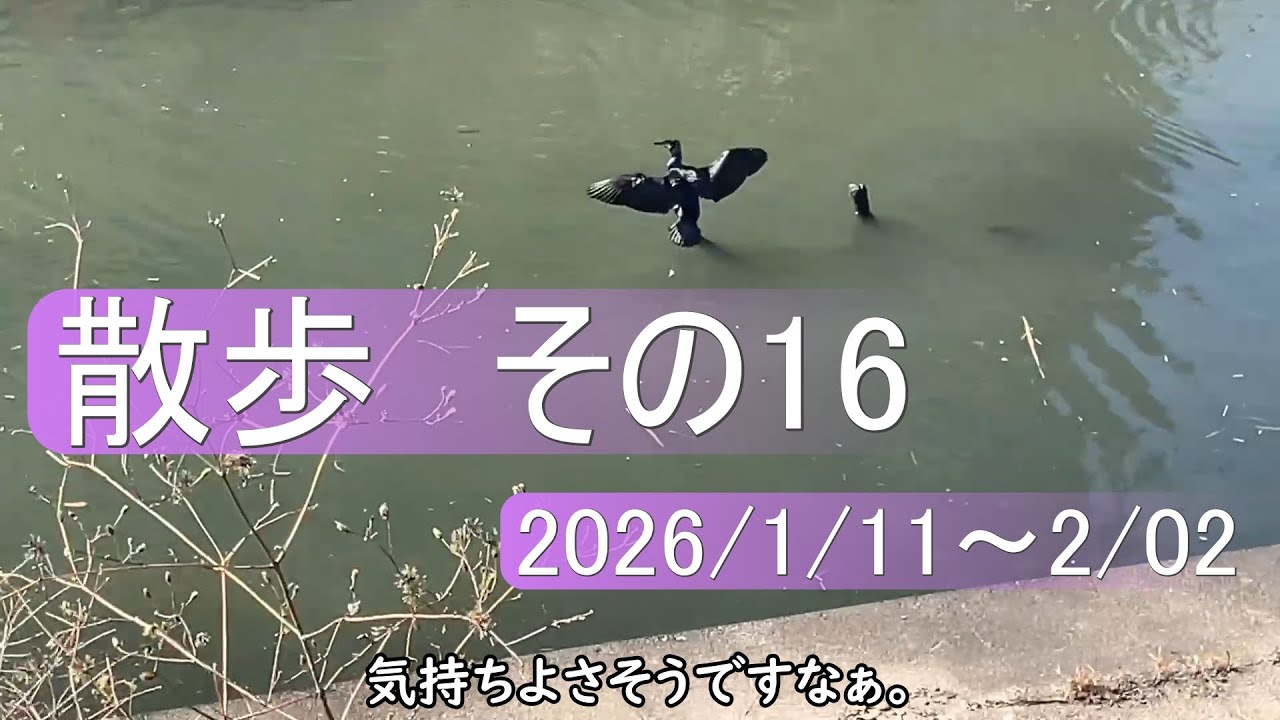 散歩　その16