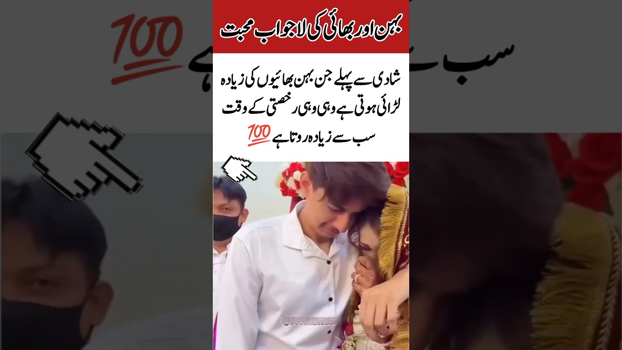 The amazing love of sister and brother #love #edit #youtubeshorts #thecreatorclass #fanchannel