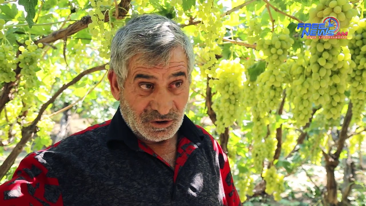 ՍՊԱՅԿԱ|SPAYKA|СПАЙКА