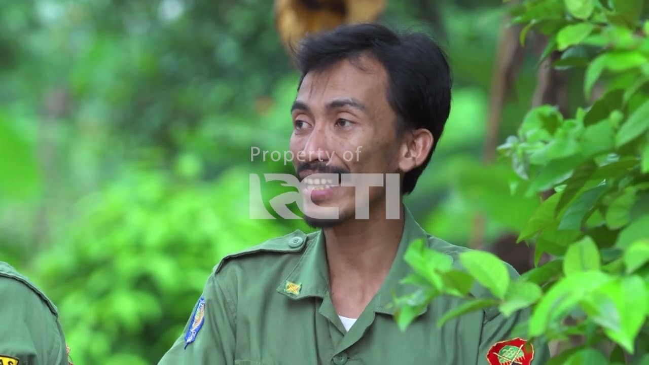 IHH SEREM EPS 60 PART 6