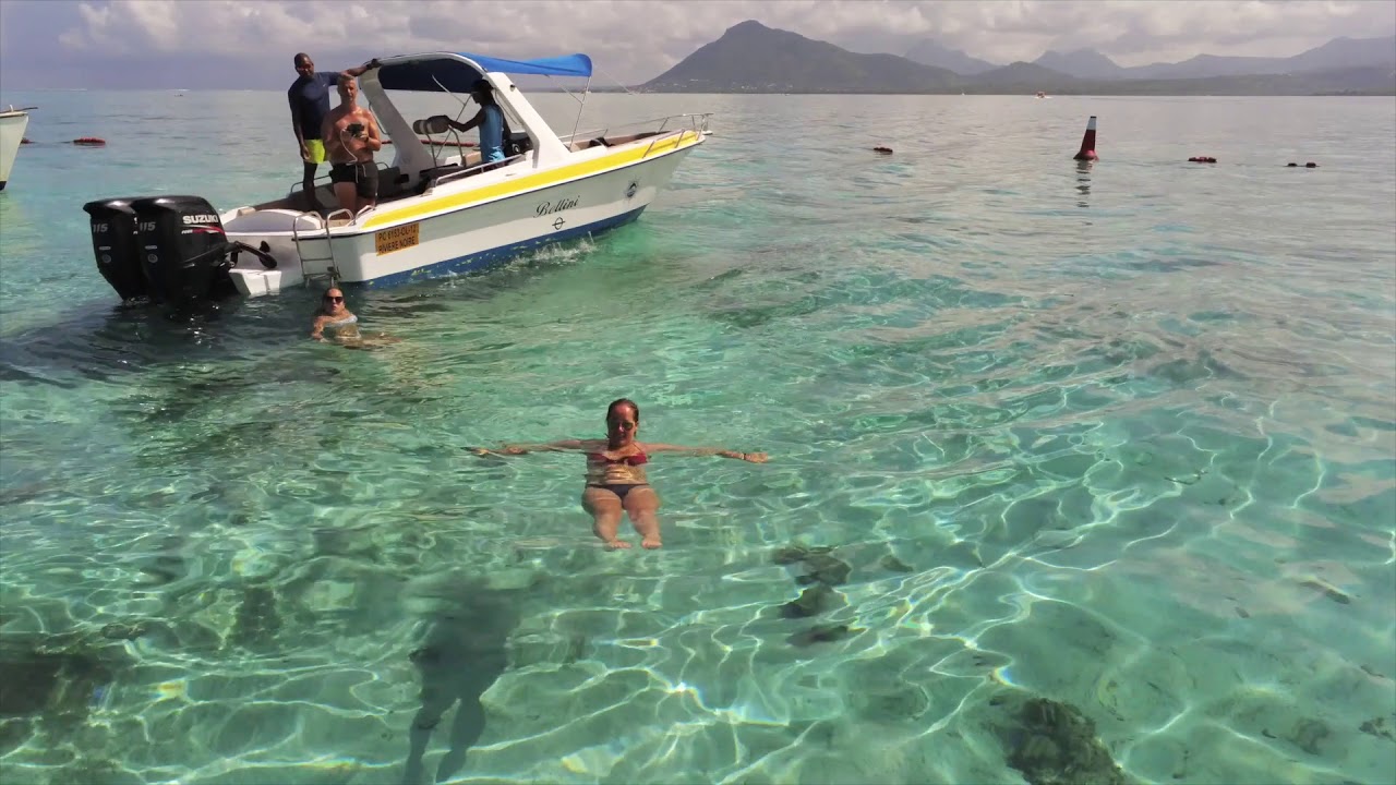 2 RENCONTRE AVEC LES DAUPHINS ILE AUX BENITIERS