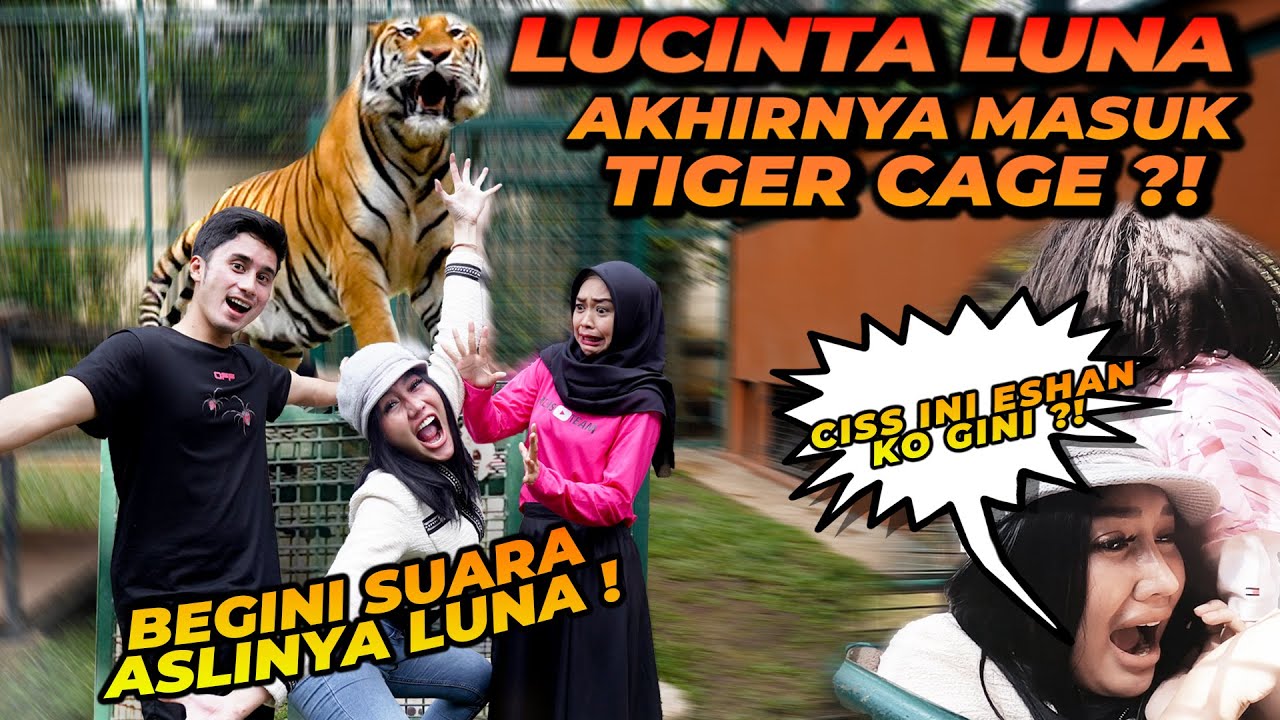 LUCINTA LUNA MASUK TIGER CAGE SAMPE KELUAR SUARA ASLINYA !!