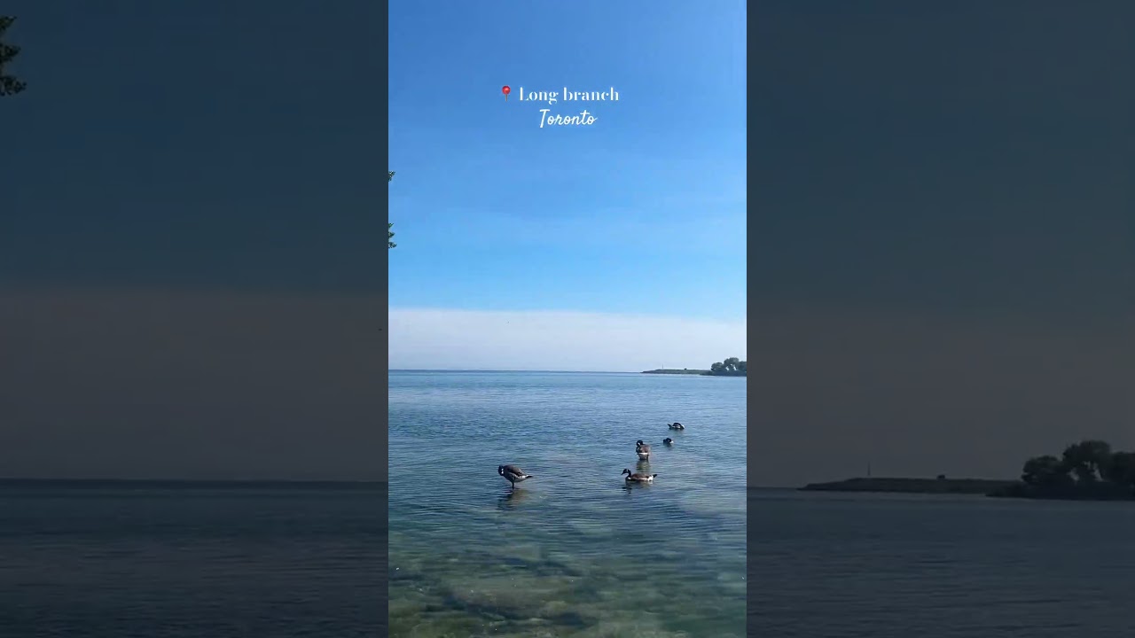 Place to visit in Toronto. #nature #placestovisit #toronto #canada