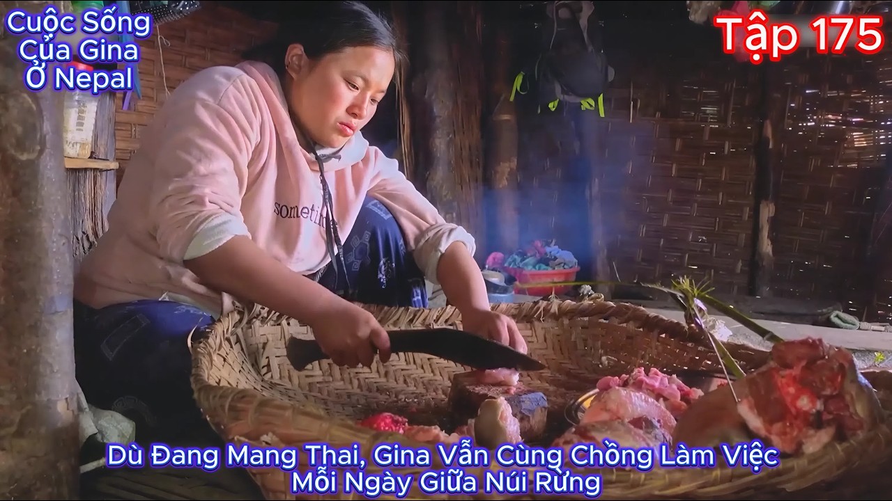 GINA Tập 175 - Dù Đang Mang Thai, Gina Vẫn Cùng Chồng Làm Việc Mỗi Ngày Giữa Núi Rừng