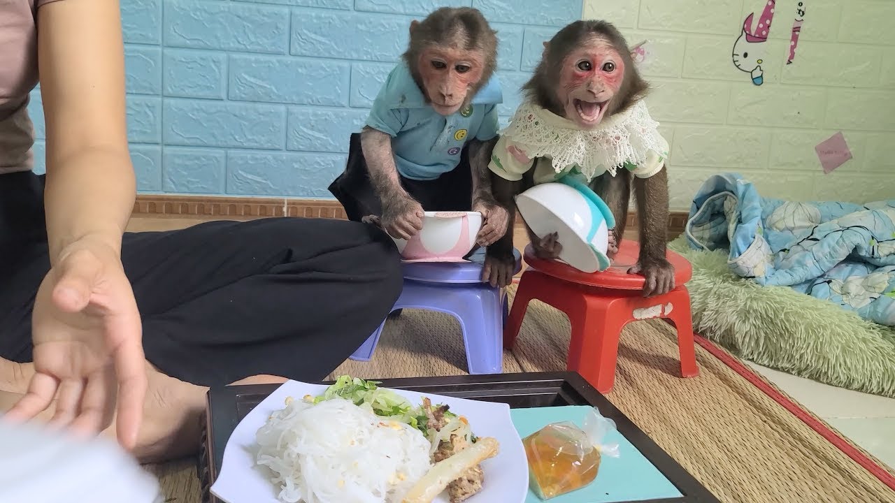 Mimi Kuku holds the bowl and waits for Mom to share the vermicelli for breakfast
