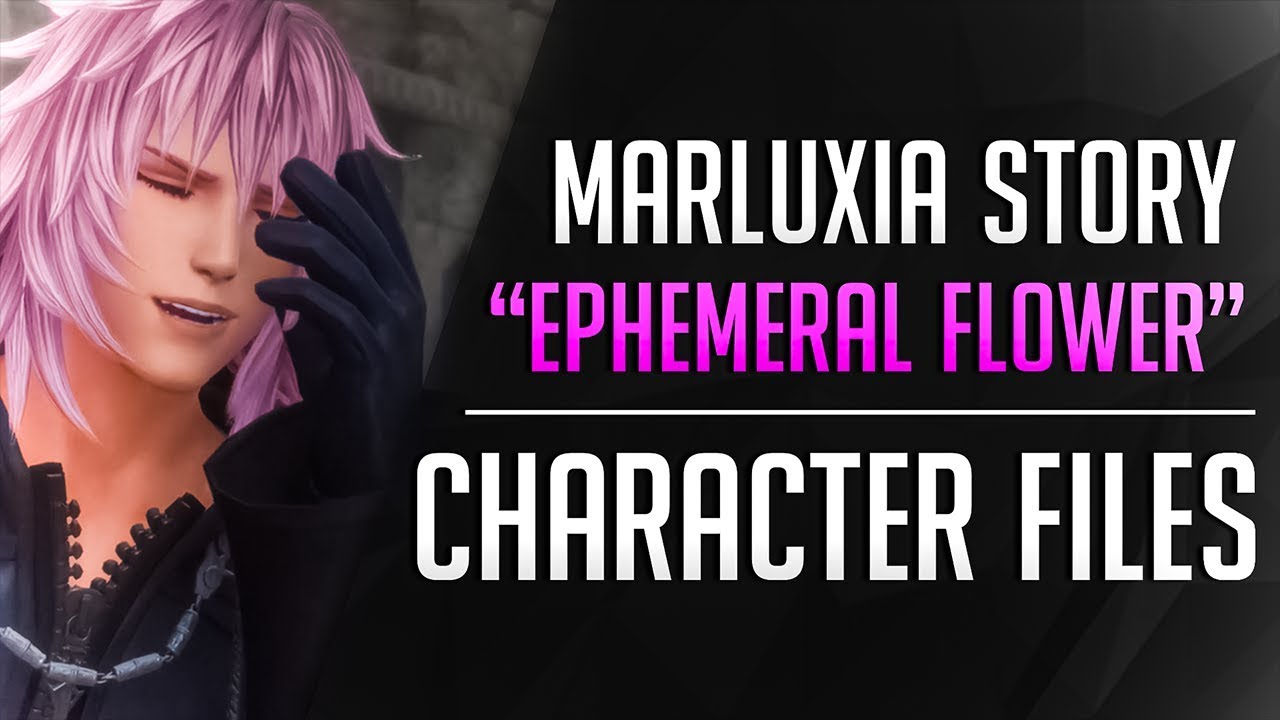 NEW Marluxia STORY! 