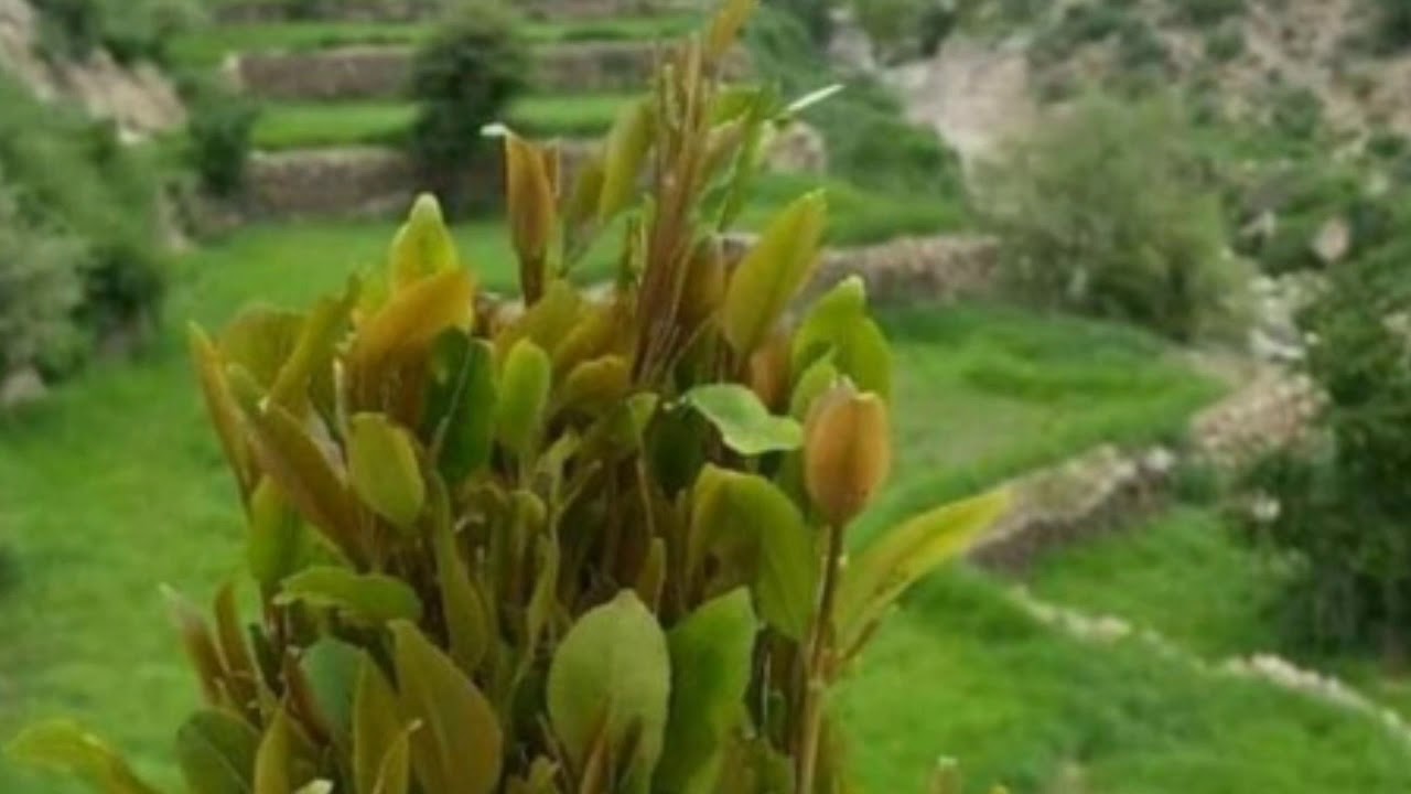 ١٠ ديسمبر، ٢٠١٩